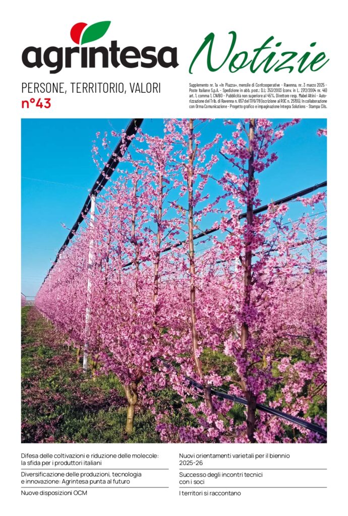 Copertina Agrintesa Notizie