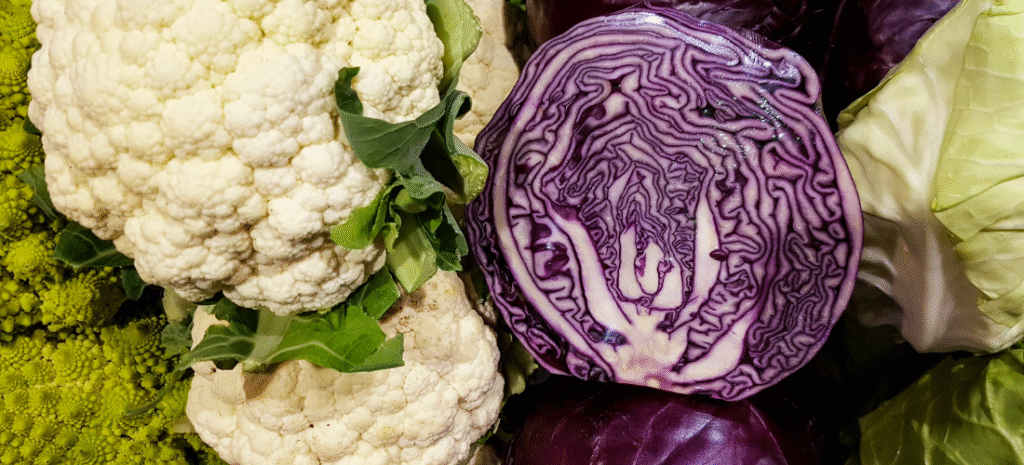 Cavoli e cavolfiore: gli alleati dell’inverno
