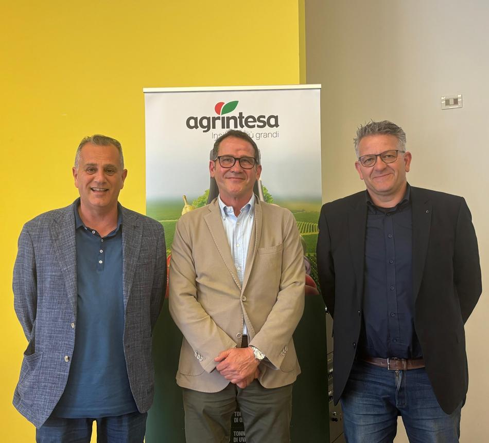 Moretti-Cristofori-Castellari