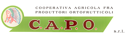 Logo CAPO