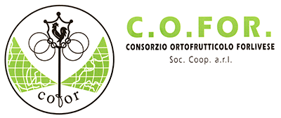 Logo COFOR
