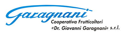 Logo Garagnani