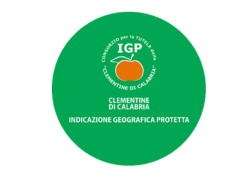 Logo Consorzio Clementine di Calabria IGP