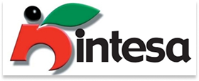 Logo Intesa