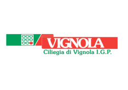Logo ciliegie di Vignola
