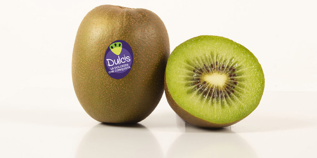Dulcis™ triples production: Italian green kiwifruit grows in quality