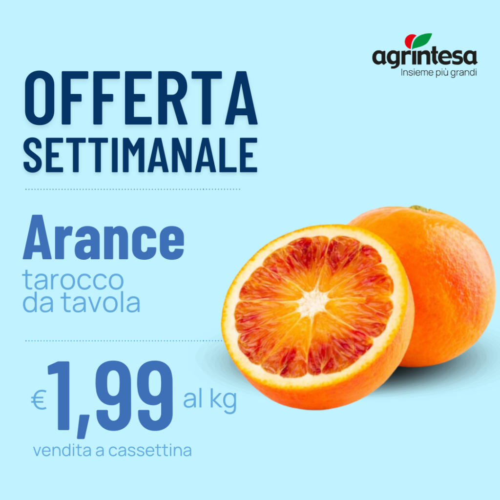 Offertas ettimanale arance tarocco da tavola € 1,99 al kg (vendita a cassettina)