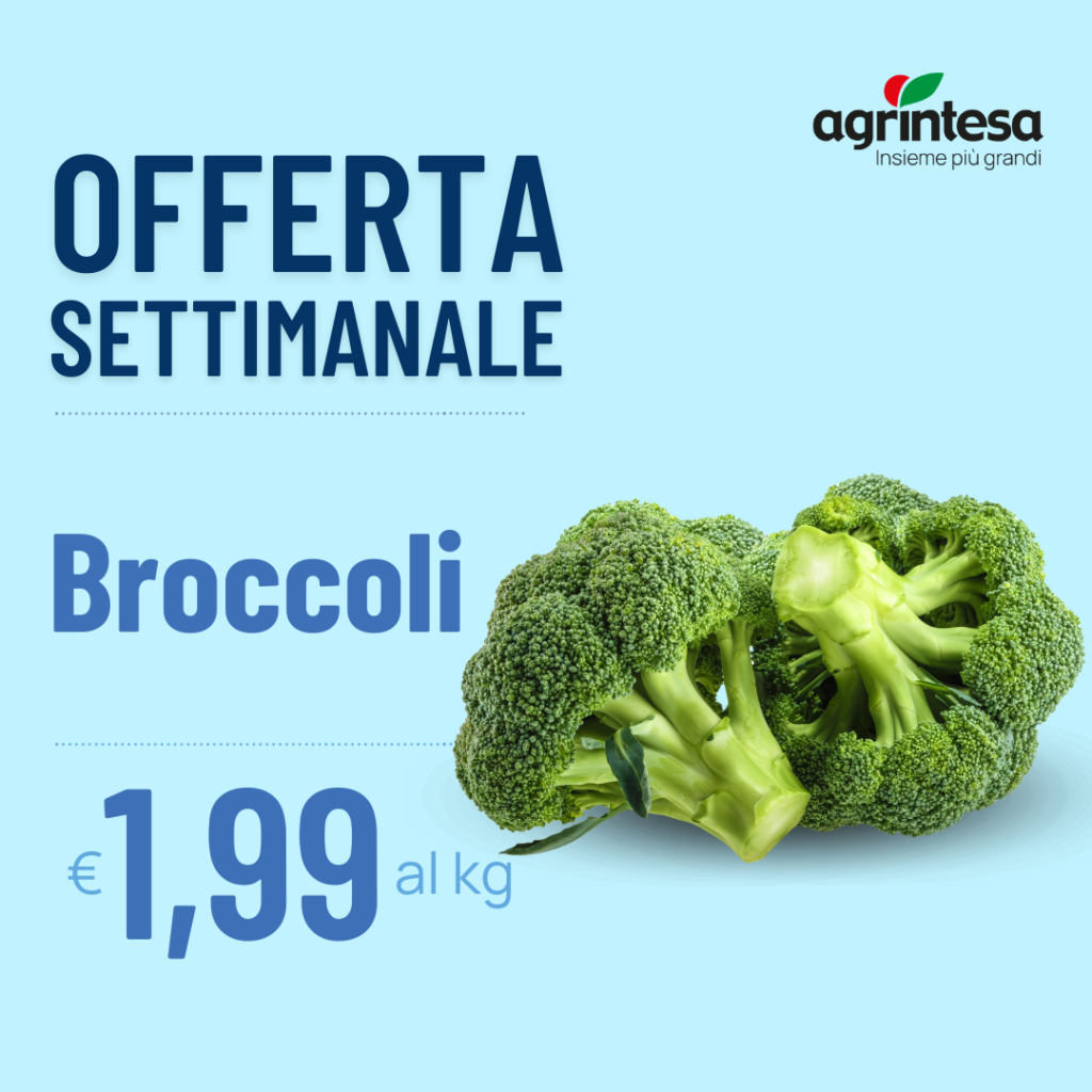 Offerta settimanale broccoli € 1,99 al kg