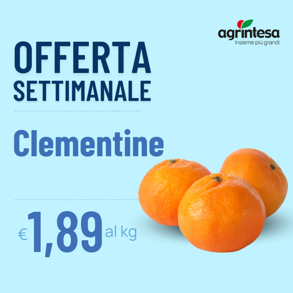 Offerta settimanale clementine €1,89 al kg