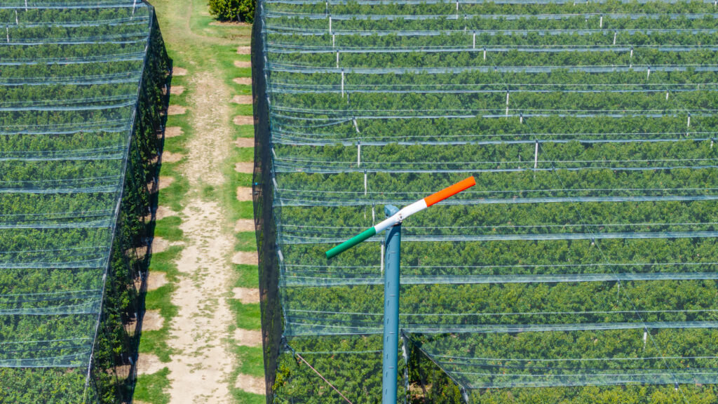 PRESTITI AGEVOLATI PER NUOVI IMPIANTI E DIFESA ATTIVA: IL CDA AGRINTESA APPROVA IL REGOLAMENTO QUINQUENNALE PER IL SOSTEGNO AI SOCI FRUTTICOLTORI