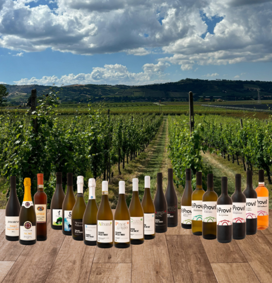 Gamma Vini Cantine Agrintesa su sfondo di Vigneto