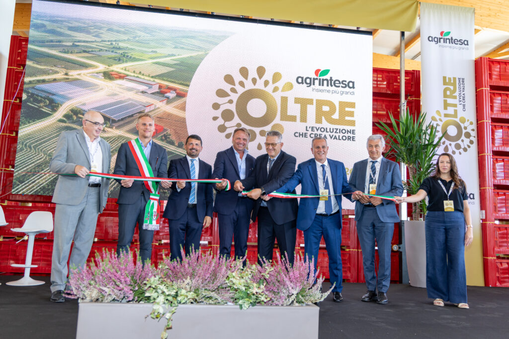 Agrintesa non amplia un magazzino: cambia scala alla filiera del kiwi