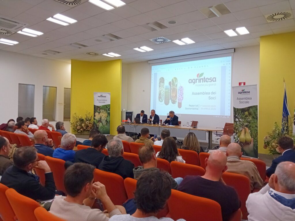 AGRINTESA, APPROVATO IL BILANCIO 2025-26: IL VALORE DELLA PRODUZIONE CRESCE A 445 MILIONI